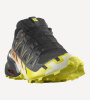 Кроссовки SPEEDCROSS 6 GTX (RU 42 UK 9 USm 9.5 СМ 27; black/sulphur spring/bird of paradise)